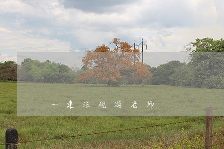一建法规游老师
