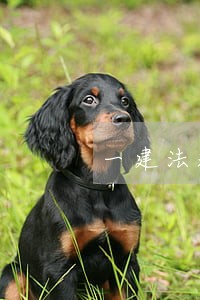 一建法规真题书上找不到答案