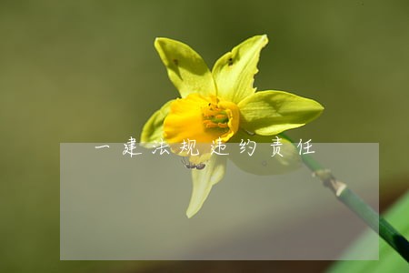 一建法规违约责任