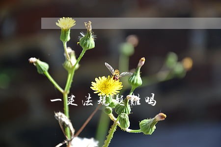 一建法规题难吗 一建法规题难吗