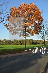 一建管理和法规刷真题可以吗