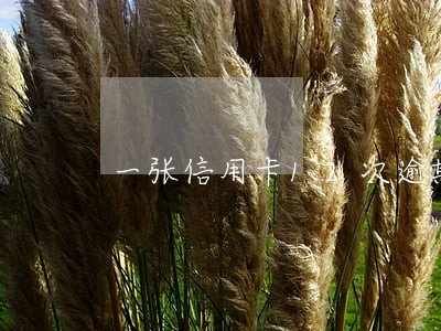 一张信用卡12次逾期