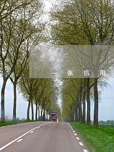 一张信用卡一年逾期三次 一张信用卡一年逾期三次