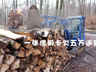 一张信用卡欠五万逾期 一张信用卡欠五万逾期