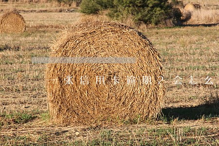 一张信用卡逾期2会怎么样 一张信用卡逾期2会怎么样