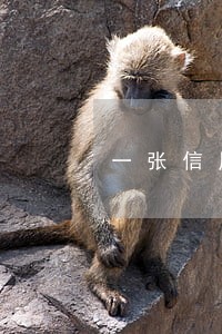一张信用卡逾期会封其他卡 一张信用卡逾期会封其他卡