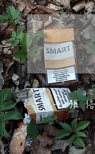 一张信用卡逾期会影 一张信用卡逾期会影