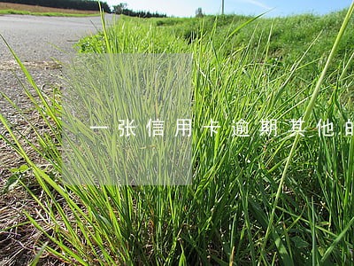 一张信用卡逾期其他的会停卡嘛 一张信用卡逾期其他的会停卡嘛