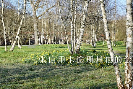 一张信用卡逾期其他的会降额吗 一张信用卡逾期其他的会降额吗