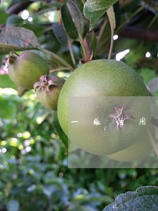 一张信用卡逾期其它卡会降额吗 一张信用卡逾期其它卡会降额吗