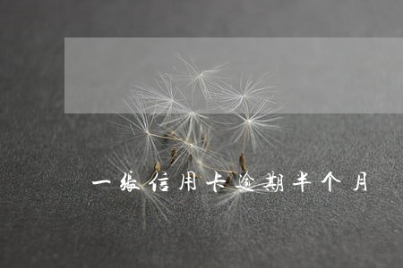 一张信用卡逾期半个月 一张信用卡逾期半个月