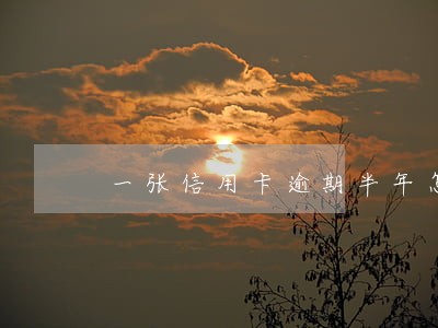 一张信用卡逾期半年怎么办 一张信用卡逾期半年怎么办