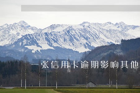 一张信用卡逾期影响其他卡怎么办