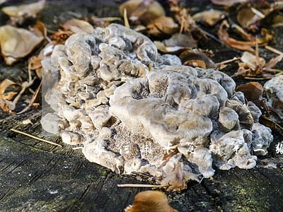 一张信用卡逾期第二张不逾期 一张信用卡逾期第二张不逾期