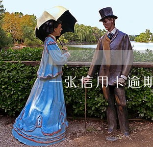 一张信用卡逾期记录 一张信用卡逾期记录