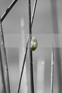 一张信用卡逾期记录其他卡