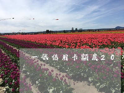 一张信用卡额度20万逾期了 一张信用卡额度20万逾期了