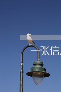 一张信用逾期会不会影响其他 一张信用逾期会不会影响其他