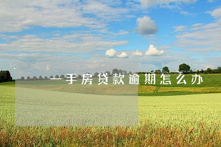 一手房贷款逾期怎么办 一手房贷款逾期怎么办