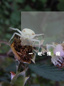 一批法规明起施行哪些对你有影响 一批法规明起施行哪些对你有影响