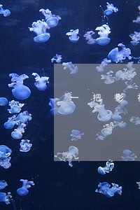 一把影视违法吗