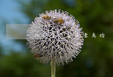 一拍即合节目夫妻离婚 一拍即合节目夫妻离婚