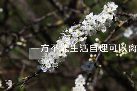 一方不能生活自理可以离婚吗