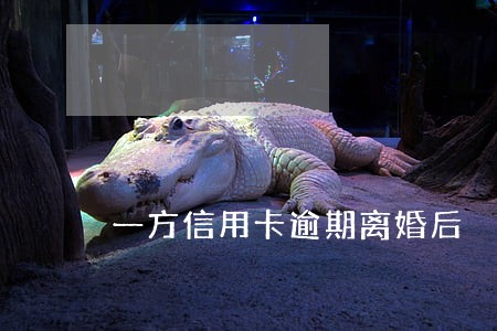 一方信用卡逾期离婚后 一方信用卡逾期离婚后