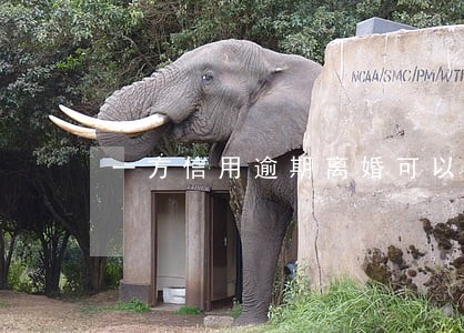 一方信用逾期离婚可以吗 一方信用逾期离婚可以吗