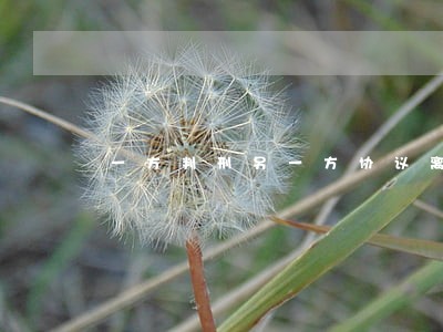 一方判刑另一方协议离婚 一方判刑另一方协议离婚