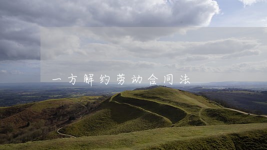 一方解约劳动合同法 一方解约劳动合同法