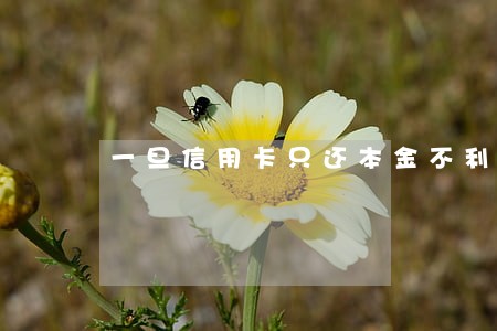 一旦信用卡只还本金不利息 一旦信用卡只还本金不利息