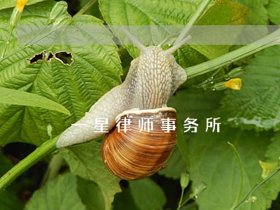 一星律师事务所 一星律师事务所