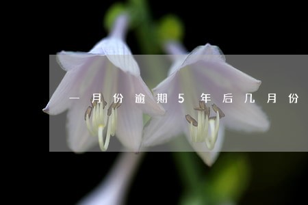 一月份逾期5年后几月份消除 一月份逾期5年后几月份消除