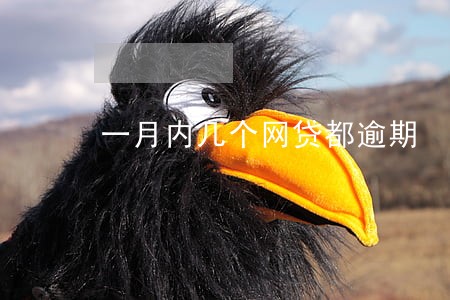 一月内几个网贷都逾期 一月内几个网贷都逾期