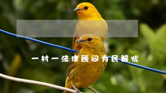 一村一法律顾问为民解忧 一村一法律顾问为民解忧