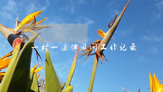 一村一法律顾问工作记录 一村一法律顾问工作记录