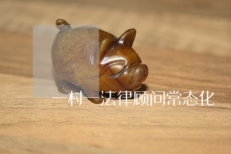 一村一法律顾问常态化 一村一法律顾问常态化