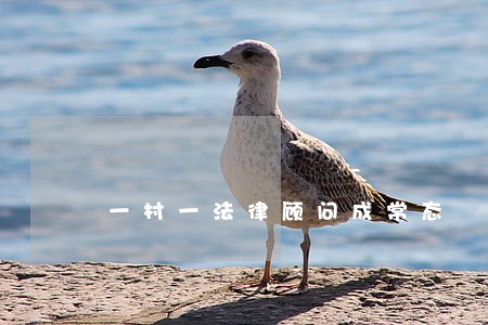 一村一法律顾问成常态 一村一法律顾问成常态