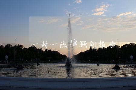 一村一法律顾问报告 一村一法律顾问报告