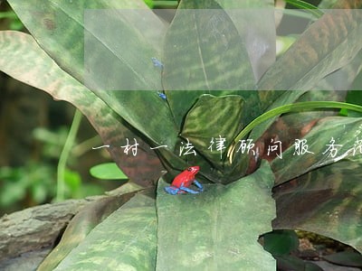 一村一法律顾问服务范围 一村一法律顾问服务范围