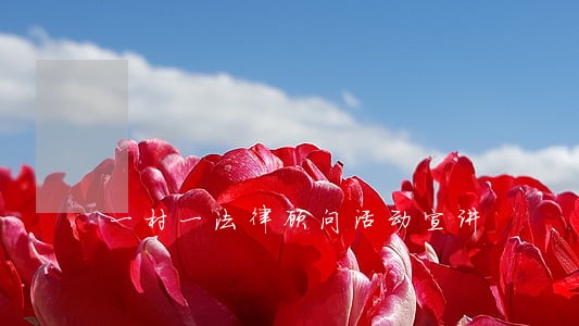 一村一法律顾问活动宣讲 一村一法律顾问活动宣讲