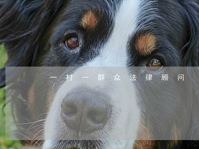 一村一群众法律顾问 一村一群众法律顾问