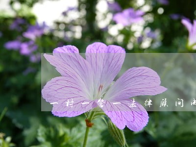 一村一警一法律顾问成效 一村一警一法律顾问成效