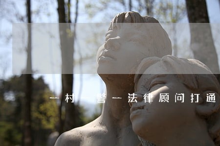 一村一警一法律顾问打通 一村一警一法律顾问打通