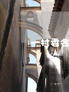 一村委会法律顾问合同 一村委会法律顾问合同