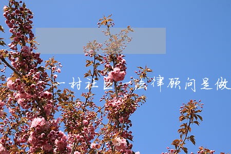 一村社区一法律顾问是做什么
