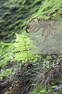 一村社区法律顾问改革