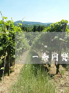 一条网贷逾期会影响公务员政审吗 一条网贷逾期会影响公务员政审吗