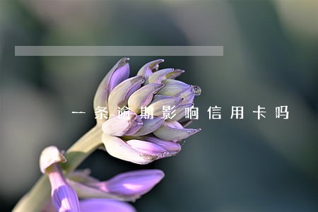一条逾期影响信用卡吗 一条逾期影响信用卡吗